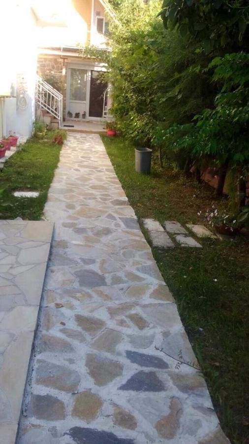 Villa Alekos 萨索斯 外观 照片